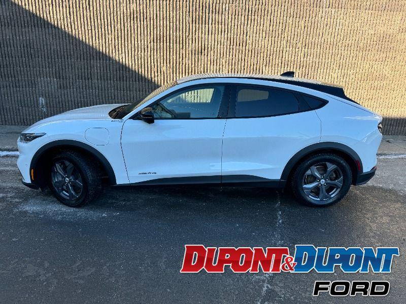 Ford Mustang Mach-e 2