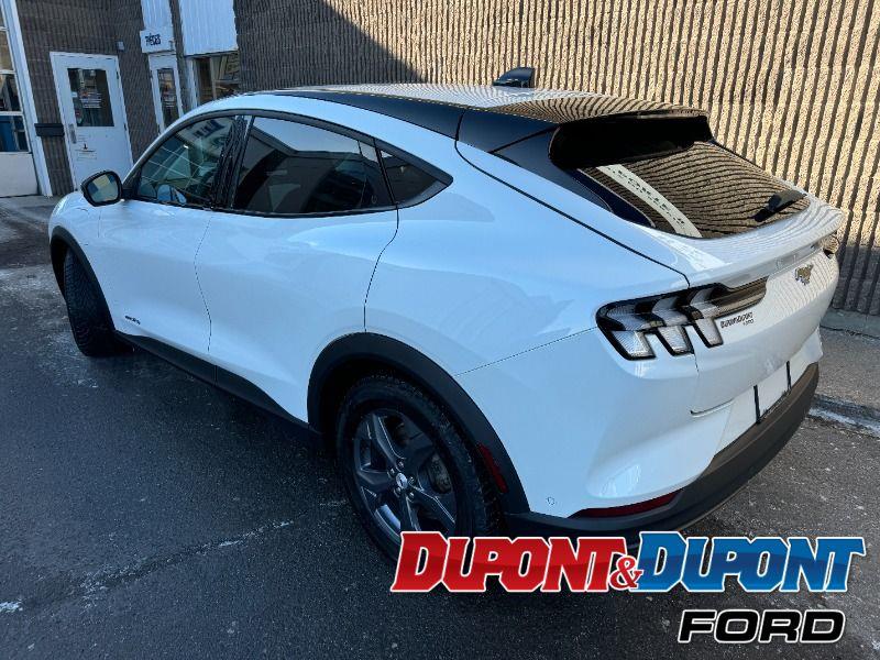 Ford Mustang Mach-e 3