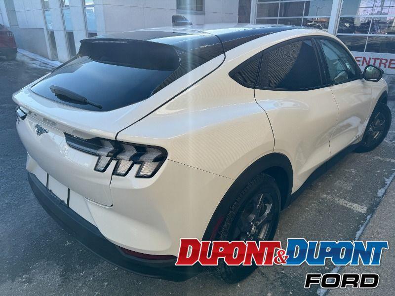 Ford Mustang Mach-e 5