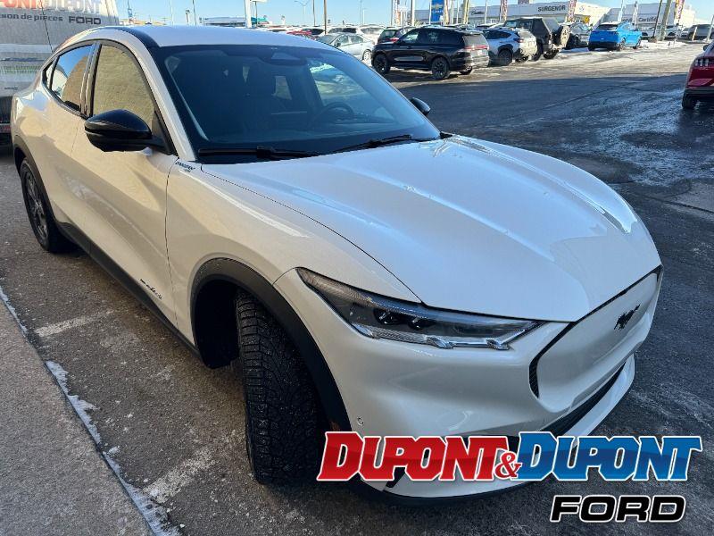 Ford Mustang Mach-e 6