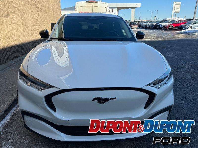 Ford Mustang Mach-e 7