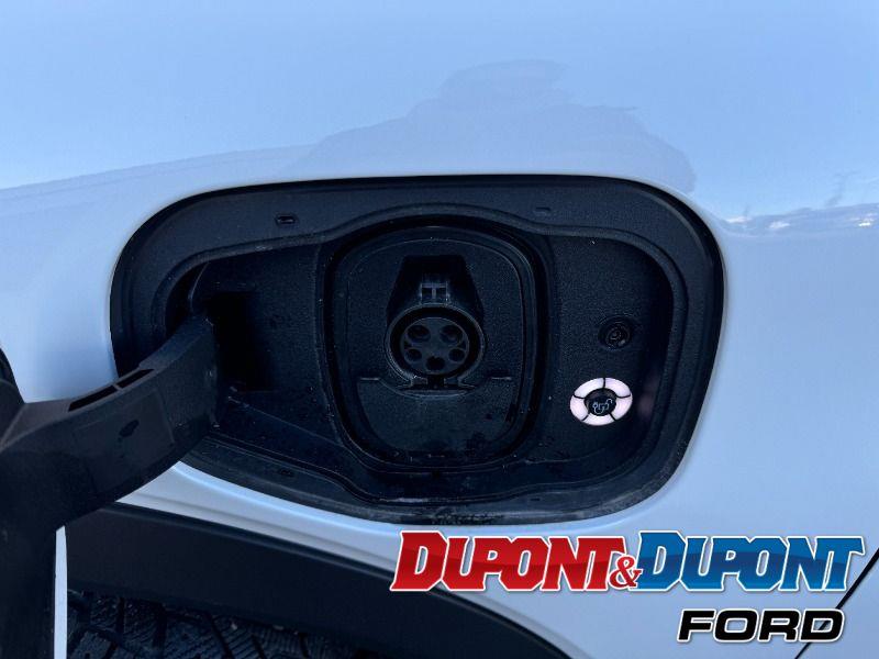 Ford Mustang Mach-e 9