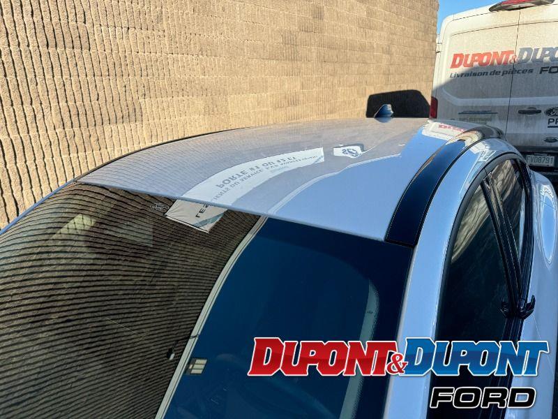 Ford Mustang Mach-e 11