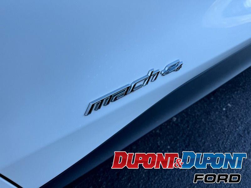 Ford Mustang Mach-e 12