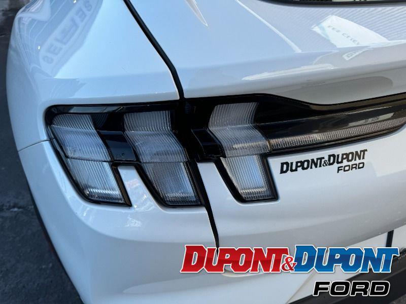 Ford Mustang Mach-e 13