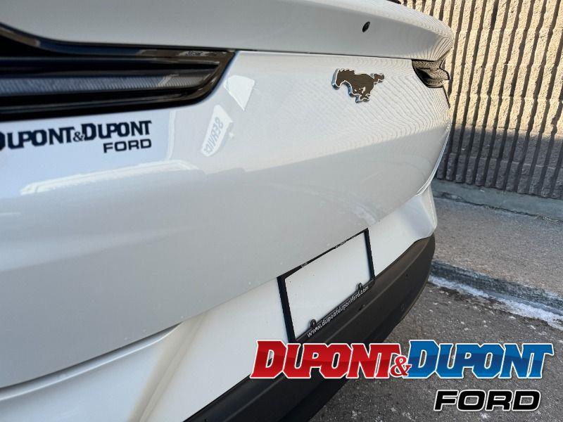 Ford Mustang Mach-e 14