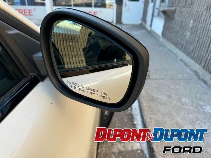 Ford Mustang Mach-e 15