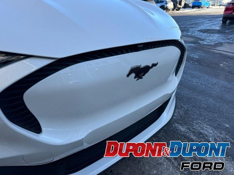 Ford Mustang Mach-e 16