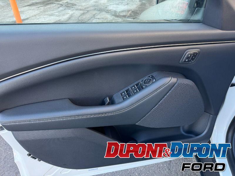 Ford Mustang Mach-e 17