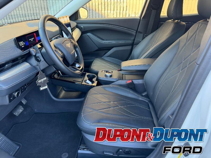 Ford Mustang Mach-e 18