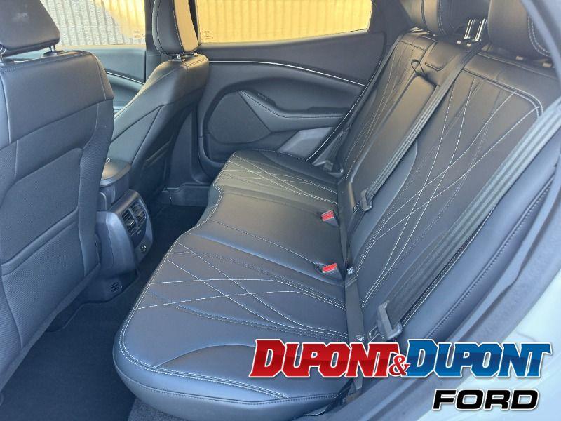 Ford Mustang Mach-e 20