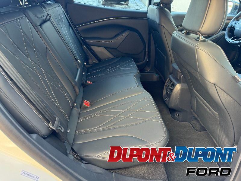 Ford Mustang Mach-e 23