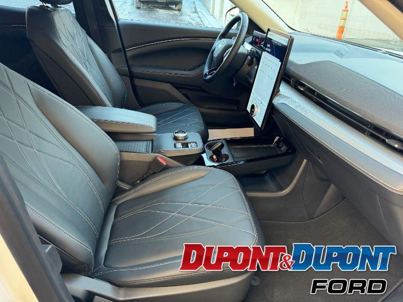 Ford Mustang Mach-e 25