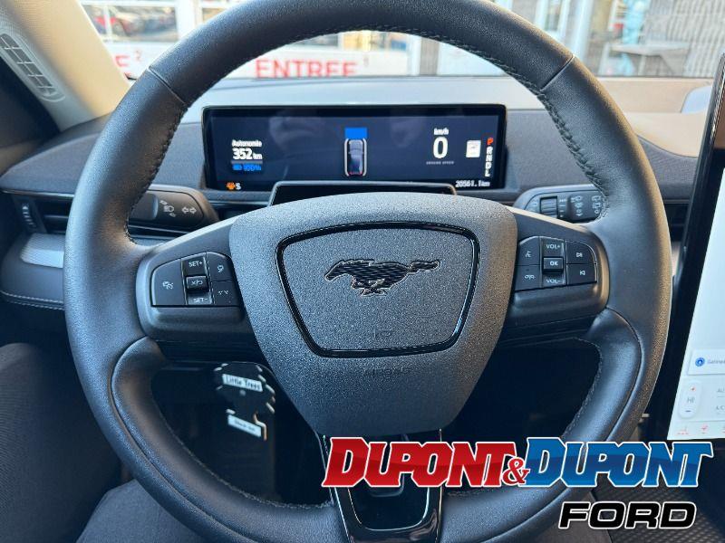 Ford Mustang Mach-e 28