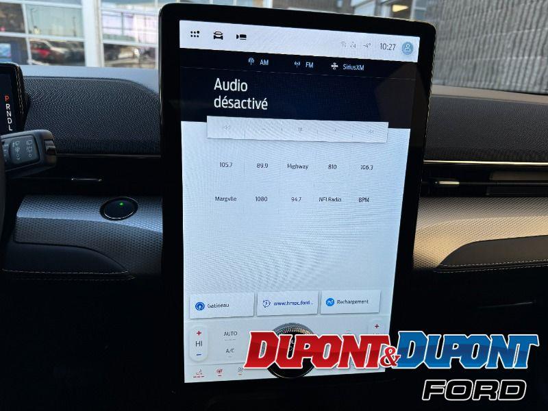 Ford Mustang Mach-e 29