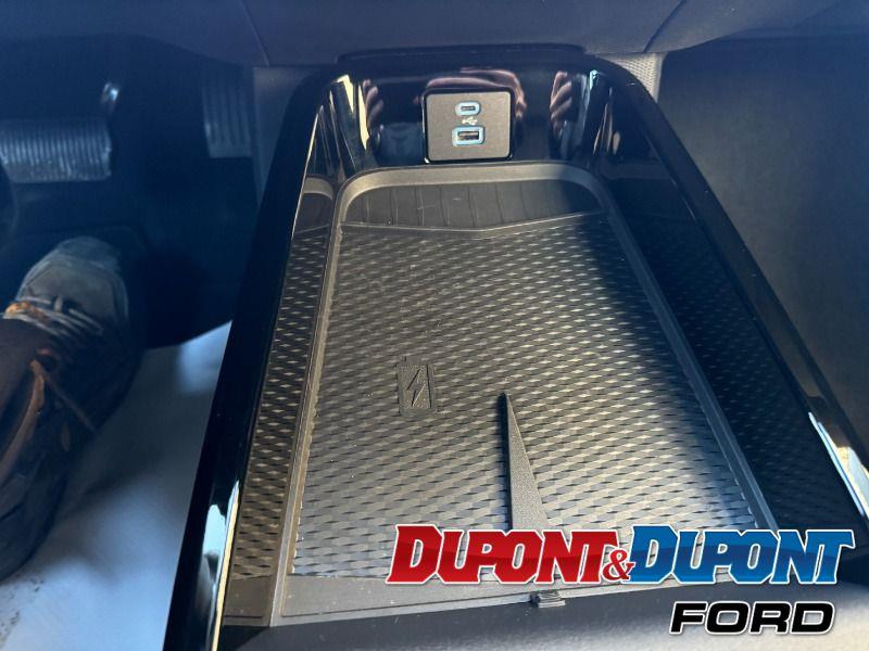 Ford Mustang Mach-e 30