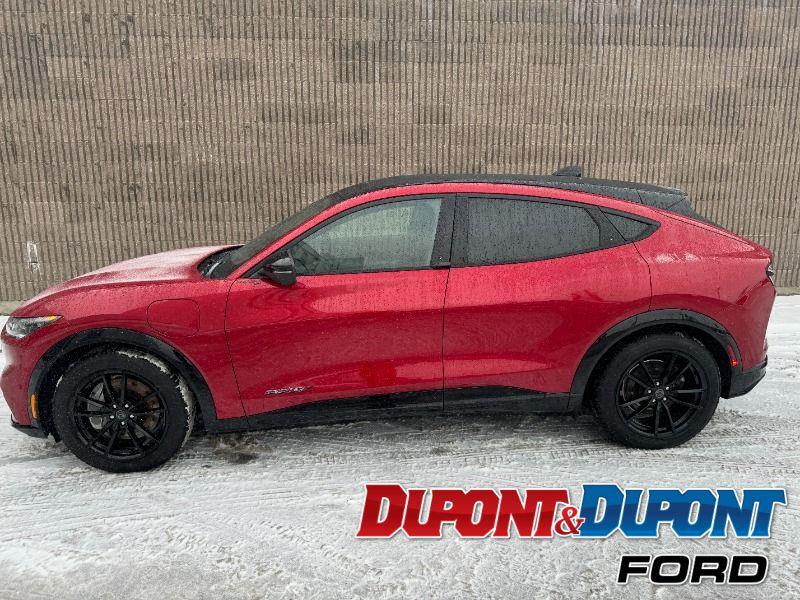 Ford Mustang Mach-e 2