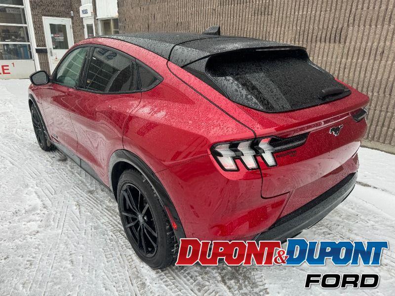 Ford Mustang Mach-e 3