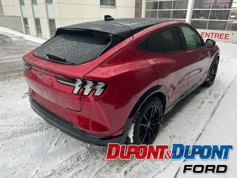 Ford Mustang Mach-e 5