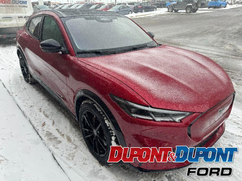 Ford Mustang Mach-e 6