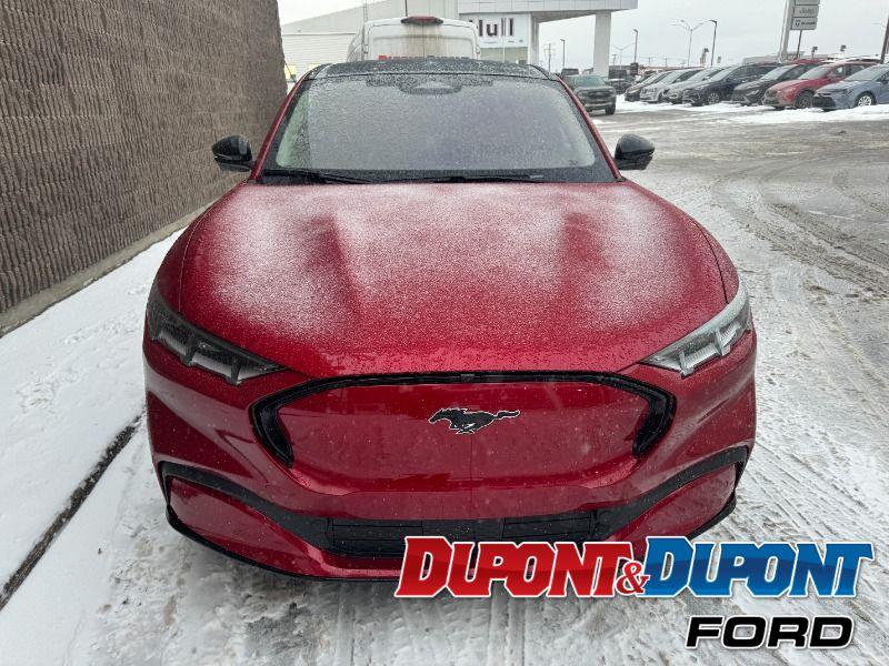 Ford Mustang Mach-e 7