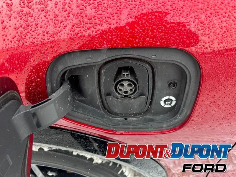 Ford Mustang Mach-e 9