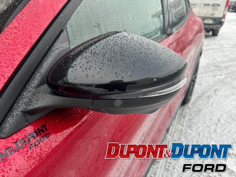 Ford Mustang Mach-e 10