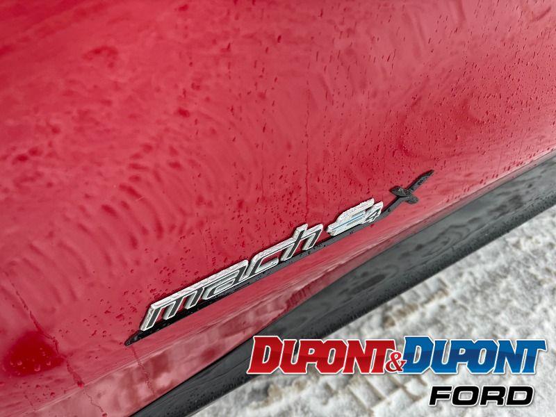 Ford Mustang Mach-e 11