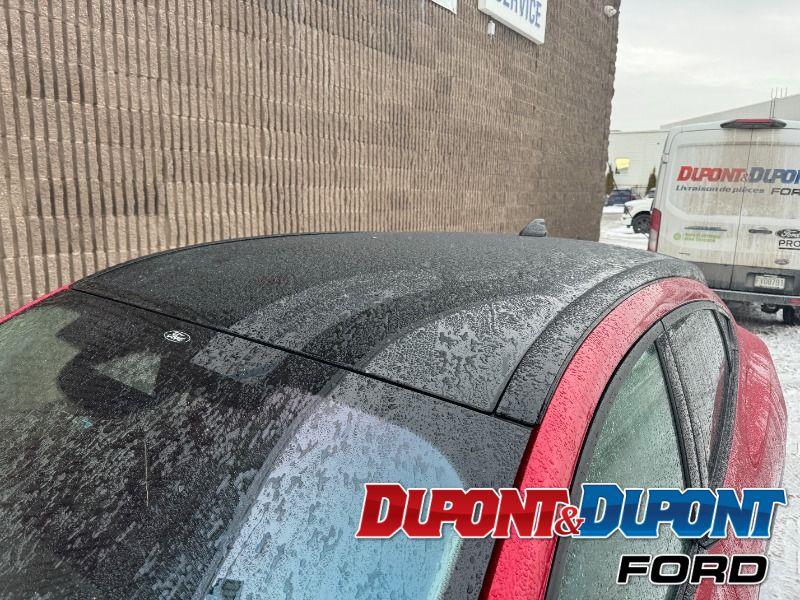 Ford Mustang Mach-e 12