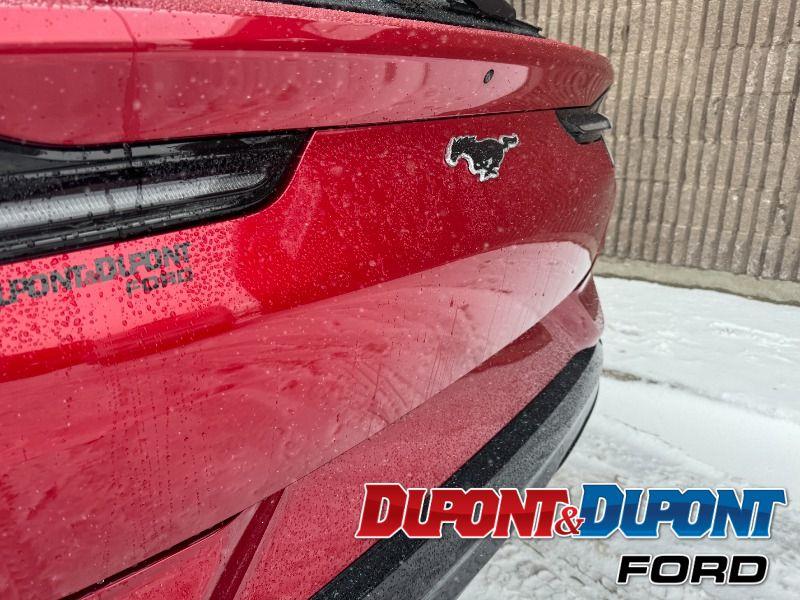 Ford Mustang Mach-e 14