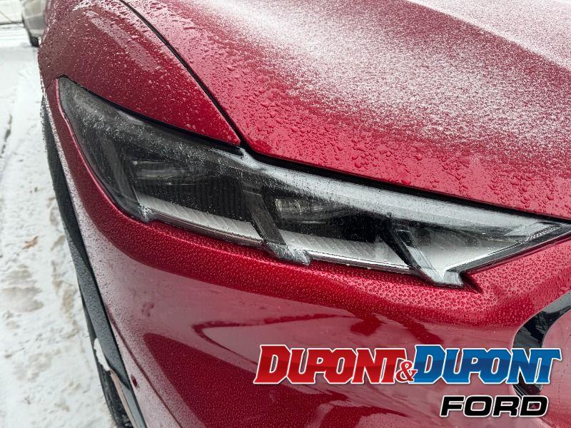 Ford Mustang Mach-e 15