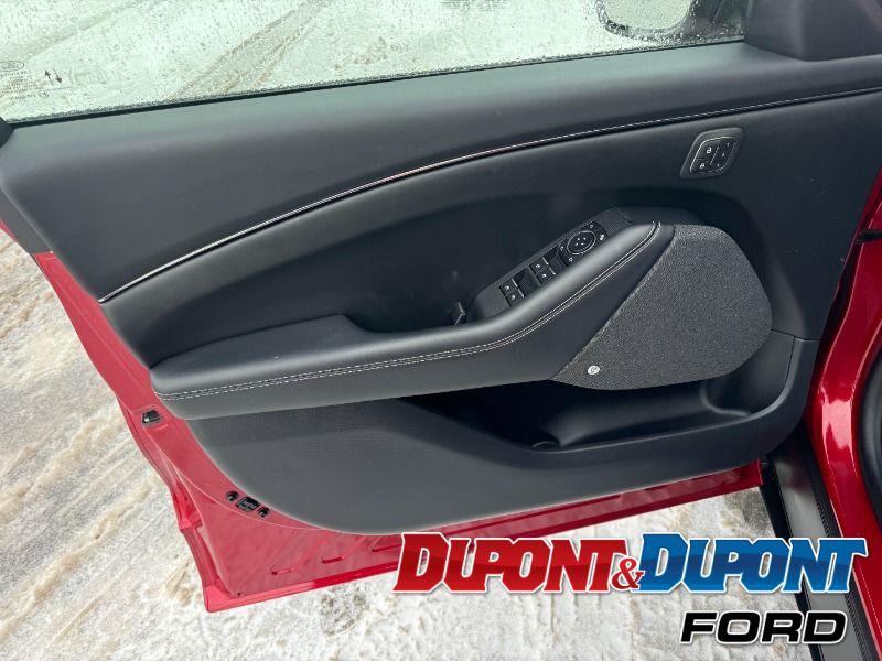 Ford Mustang Mach-e 17