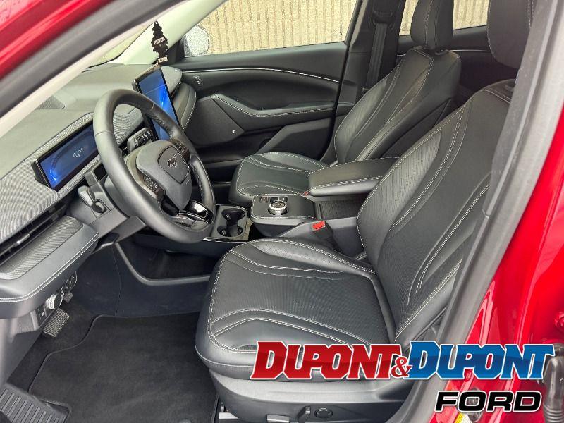 Ford Mustang Mach-e 18