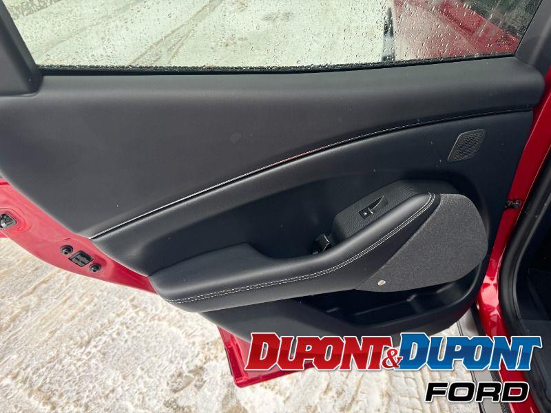 Ford Mustang Mach-e 19