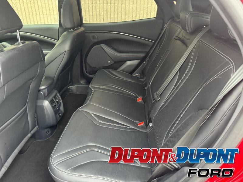 Ford Mustang Mach-e 20