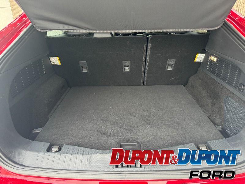 Ford Mustang Mach-e 21