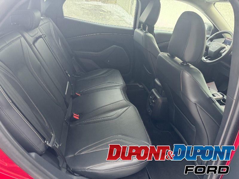 Ford Mustang Mach-e 23