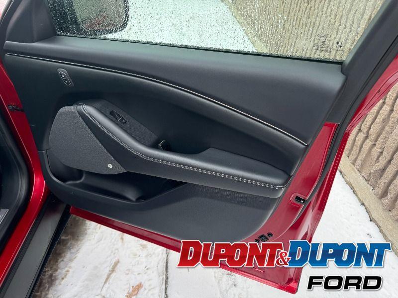 Ford Mustang Mach-e 24