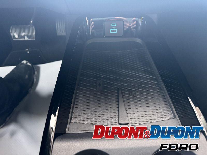 Ford Mustang Mach-e 30