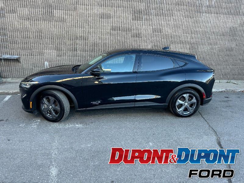 Ford Mustang Mach-e 2