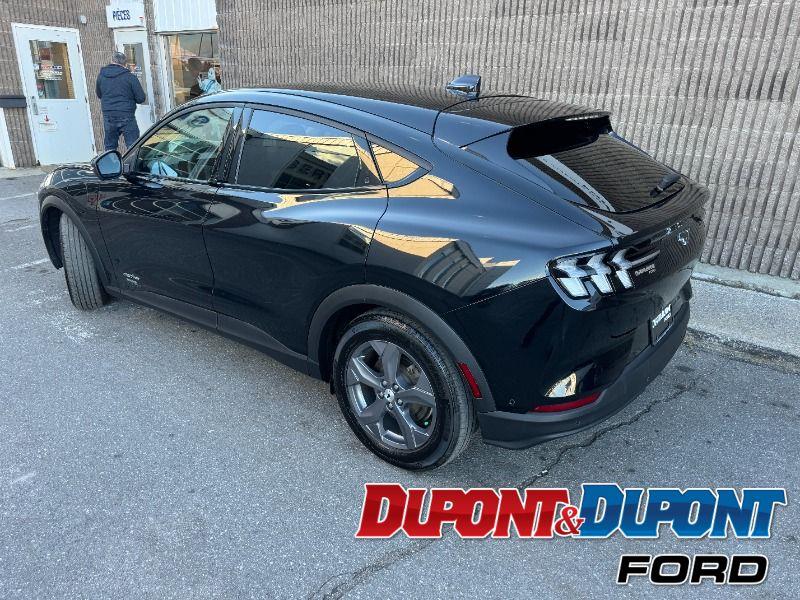 Ford Mustang Mach-e 3