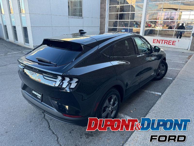 Ford Mustang Mach-e 5