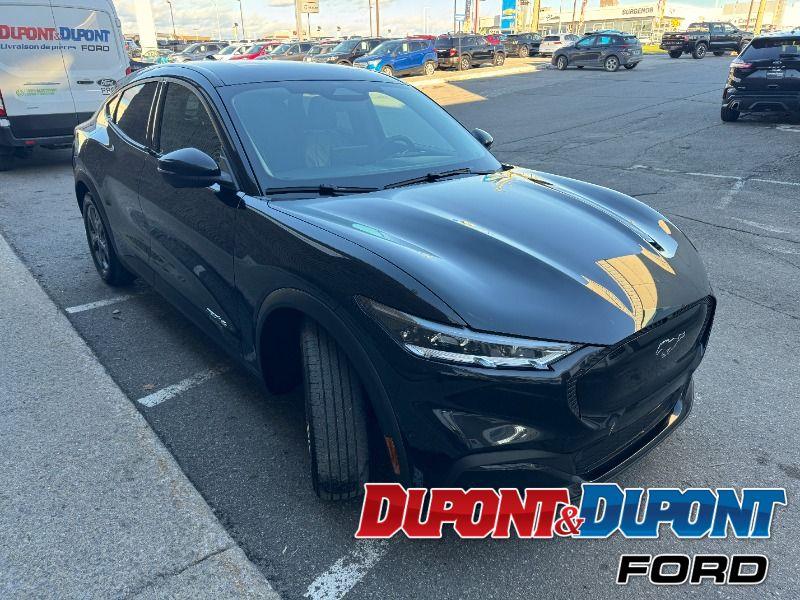 Ford Mustang Mach-e 6