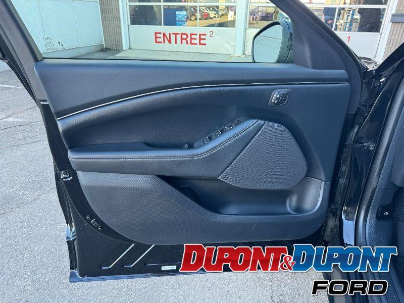 Ford Mustang Mach-e 10