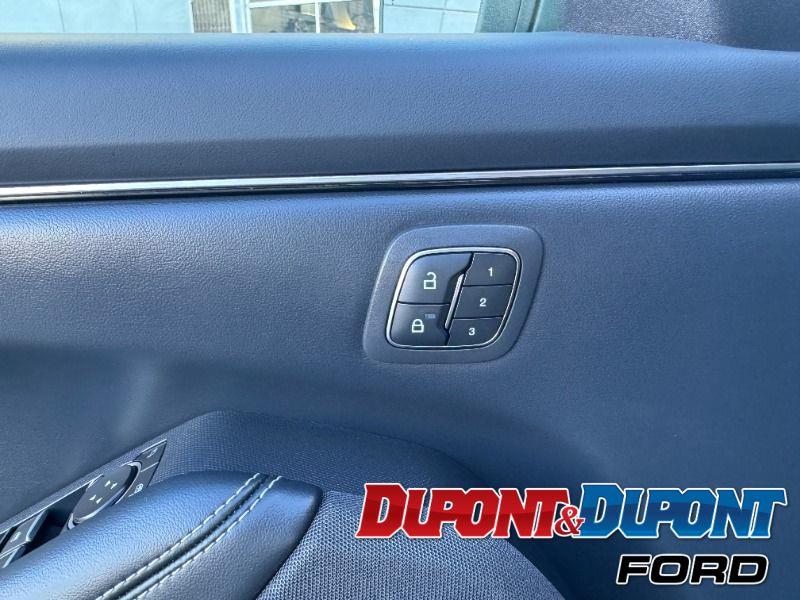 Ford Mustang Mach-e 11