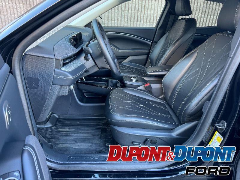 Ford Mustang Mach-e 13