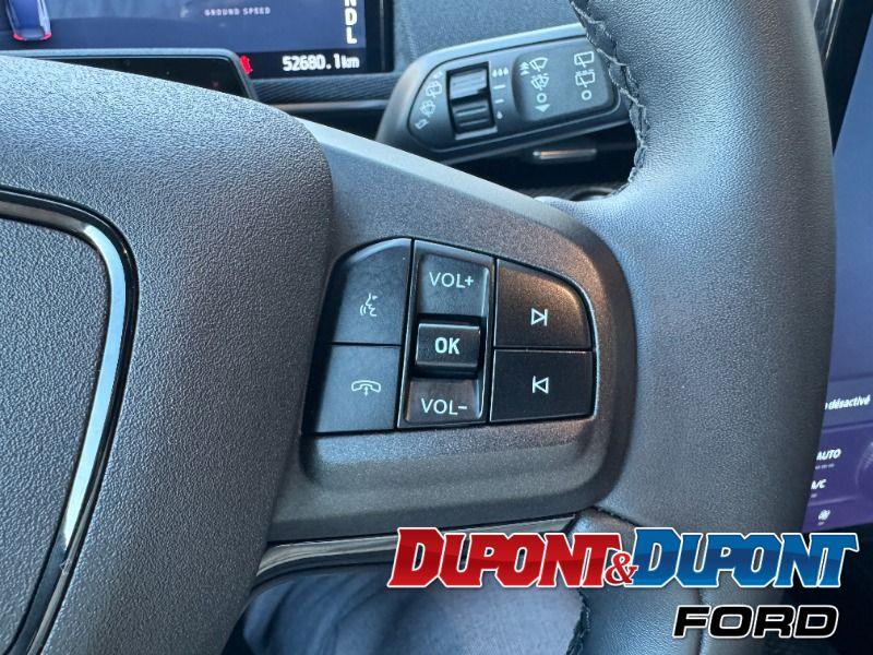 Ford Mustang Mach-e 19