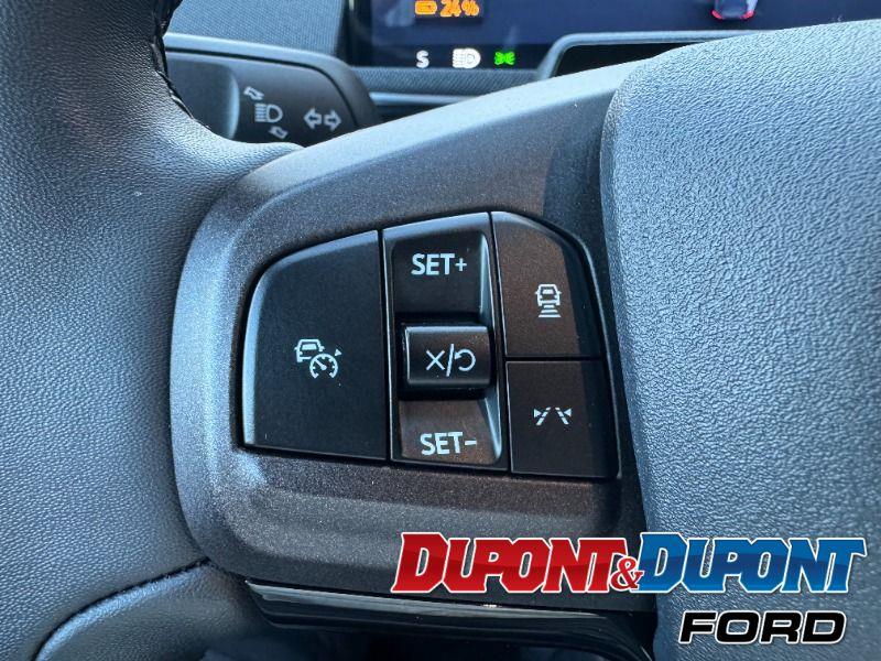 Ford Mustang Mach-e 20