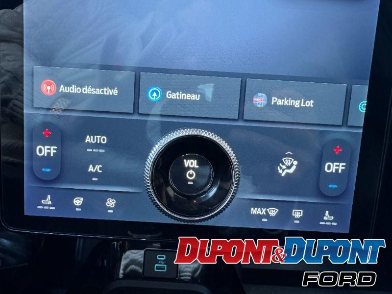 Ford Mustang Mach-e 24