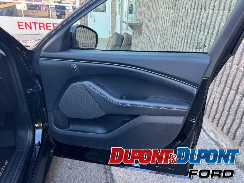 Ford Mustang Mach-e 38